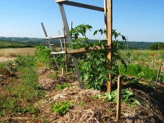 En un week-end, on bascule dans l'été