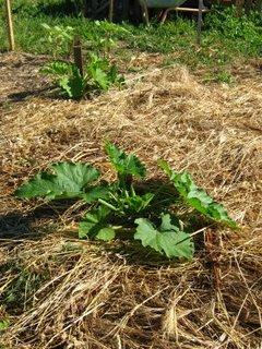 En un week-end, on bascule dans l'été