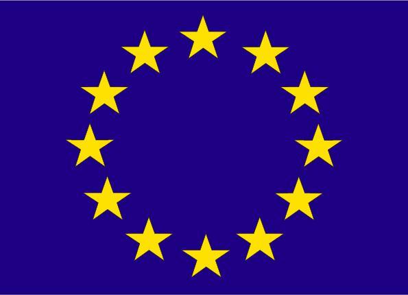 drapeau-europeen.1244071343.jpg