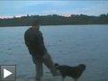 Videos: Ne jamais pousser un chien dans un lac + question d'equilibre