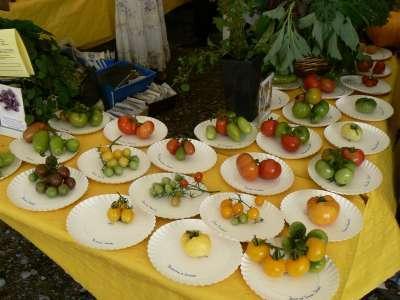 Fête de la tomate 2007 08 19 204 P1010446_redimensionne