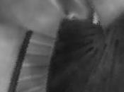 éperdument hérissés