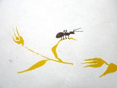 Enzo Mari d'Iela Illustratrice pour enfants