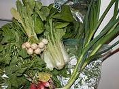 Taxons Internet pour financer l&#8217;agriculture