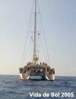 Observer baleines pilotes & dauphins