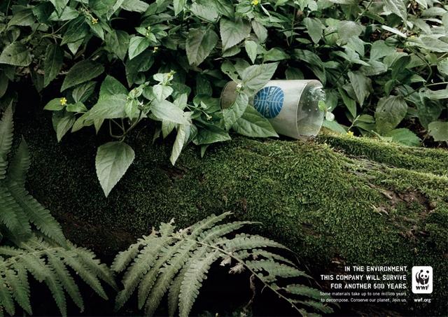 pub écologie amazonie