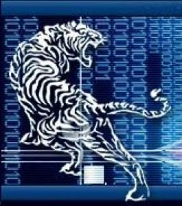 Arrestations confirmées pour le site torrent Snowtigers