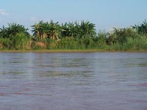 MADAGASCAR 2: descente de la Tsirinbihina en pirogue