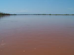 MADAGASCAR 2: descente de la Tsirinbihina en pirogue