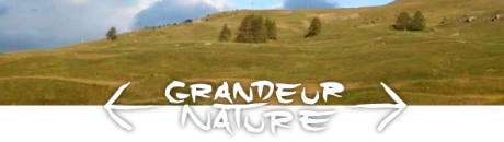 autre regard nature, façon randonner