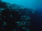 robot sous-marin plonge plus profond l''océan, découvrez images