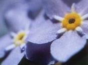 maman n'est plus depuis ans...