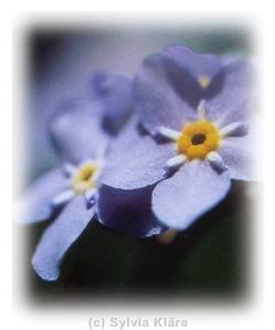 Ma maman n'est plus là depuis 20 ans...