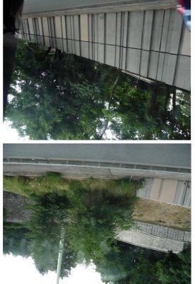 tombent dedans, flottant comme des papillons