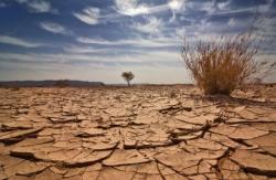 Le réchauffement climatique entraîne la mort de 300 000 personnes par an sécheresse