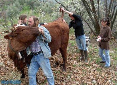 Cela coule entre les mains