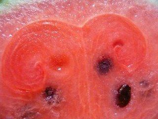 Les volutes de la pastèque