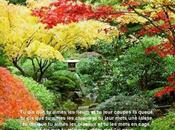 peut rêver, tout lisant bonnes pensées