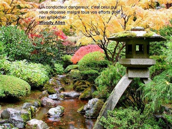 On peut rêver, tout en lisant de bonnes pensées