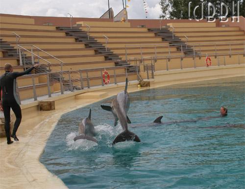 grand dauphin delphinarium Planète Sauvage Port St Père