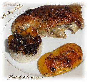 Concours de recette à base de mangues (Mango Loco) - Les 1eres recettes!