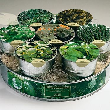 Astuces de cuisine et herbes aromatiques http://s.plurielles.fr/mmdia/i/90/1/plante-et-bouquet-nature-et-decouvertes-plateau-d-aromatiques-2501901_1350.jpg