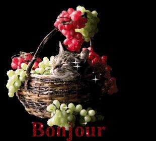 Tajine de veau aux fèves et petits pois+Blog Salma82