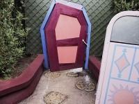 alex-majoli-voit-disneyland-paris-a-hauteur-enfant-2