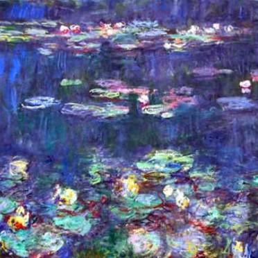 Immersion musicale dans les Nymphéas de Monet
