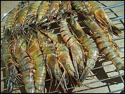 Gambas Grillées au BBQ et Sirop d'Erable Gambas Grillées au BBQ et Sirop d'Erable