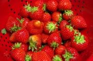 Strawberries (5)