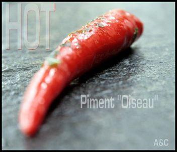 ** Brandade HOT ou Féroce d' avocat à la morue , piment oiseau ....d' influence Antillaise, Réunionnaise & Mauricienne ** yaout salés 121