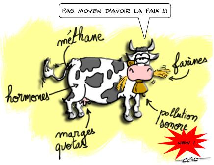 La Babole - Quand les cloches des vaches dérangent...