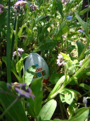 20 ans et pas toutes ses dents