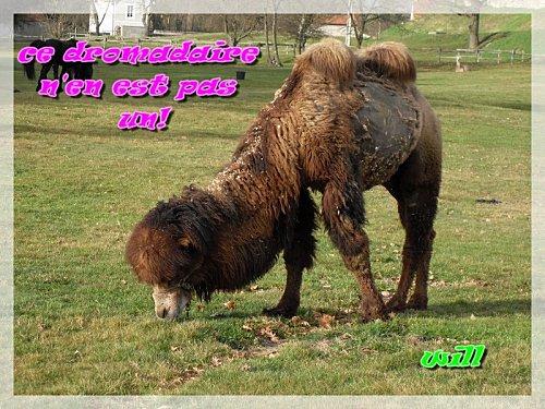 De l'importance de la sémiotique