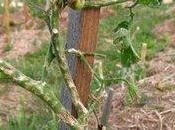 Après grêle, reprise grands travaux