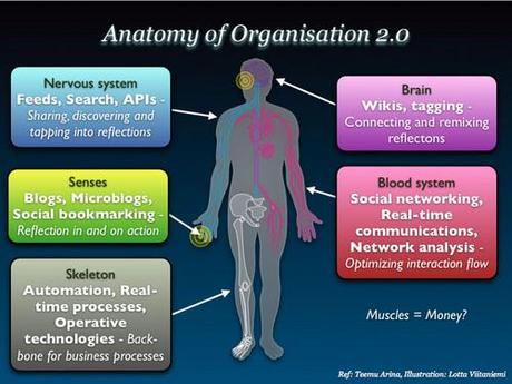 Et si l’organisation 2.0 était un corps humain ? anatomyorganisation20.jpg