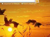 Bing travel moteur recherche tourisme signé Microsoft