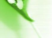 Amour Acrostiche Véronique Dubois