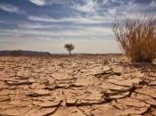 Réchauffement climatique millions personnes pourraient avoir migrer d'ici 2010