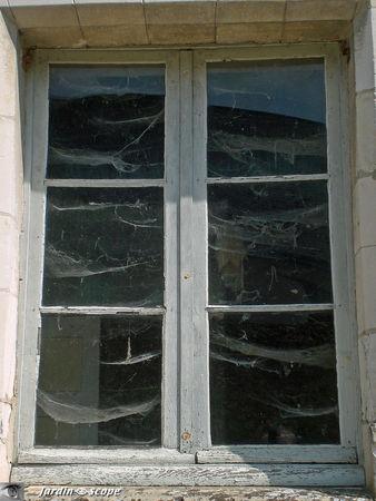 Rideau_de_toiles_d_araignees