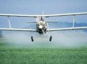 midi, parlons d’écologie pesticides agricoles