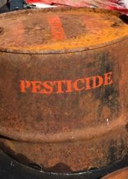 pesticide