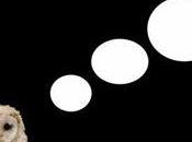 Tout quand même, c'était chouette...