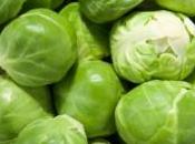 choux Bruxelles interdits navire marine britannique