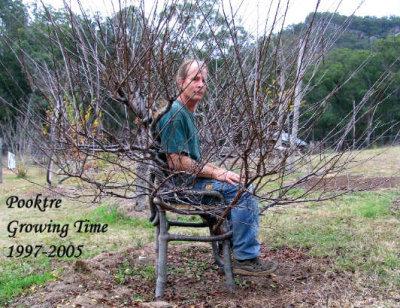 Fauteuil vegetal par Peter cook et Becky Northey