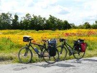 Enfin des choses sérieuses !