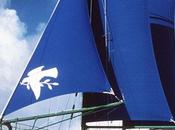 Thon rouge pour quelques millions d’euros plus…