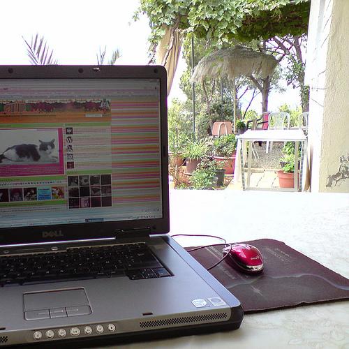 blogguer au soleil dans le jardin