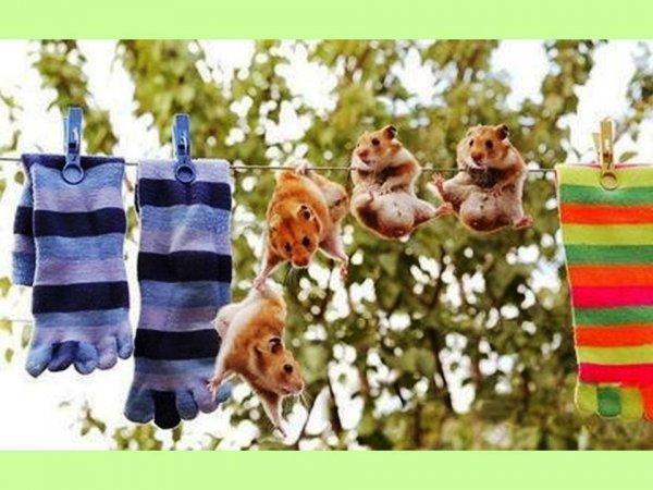 S'il est sur le cou alors vous êtes sûr du coup !!